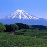 Mount Fuji Assaulted By Hickers