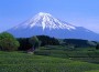 Mount Fuji Assaulted By Hickers