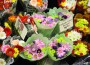 Maximize Conversion Rate on Your Florist Website