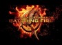 “The Hunger Games: Catching Fire” Set November Box-Office Record