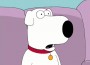 New Developments In Family Guy’s Brian Story