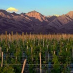 Top 3 Less Known Fantastic Wine Destinations