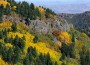 Top 3 Best Forests To Observe Autumn