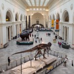 Make More Of Your Black Friday And Visit Some Museums