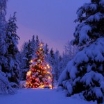 Top 3 Places To Enjoy A Snowy Christmas